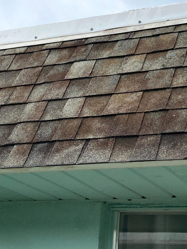 Close-up of weathered, algae-stained asphalt roof shingles