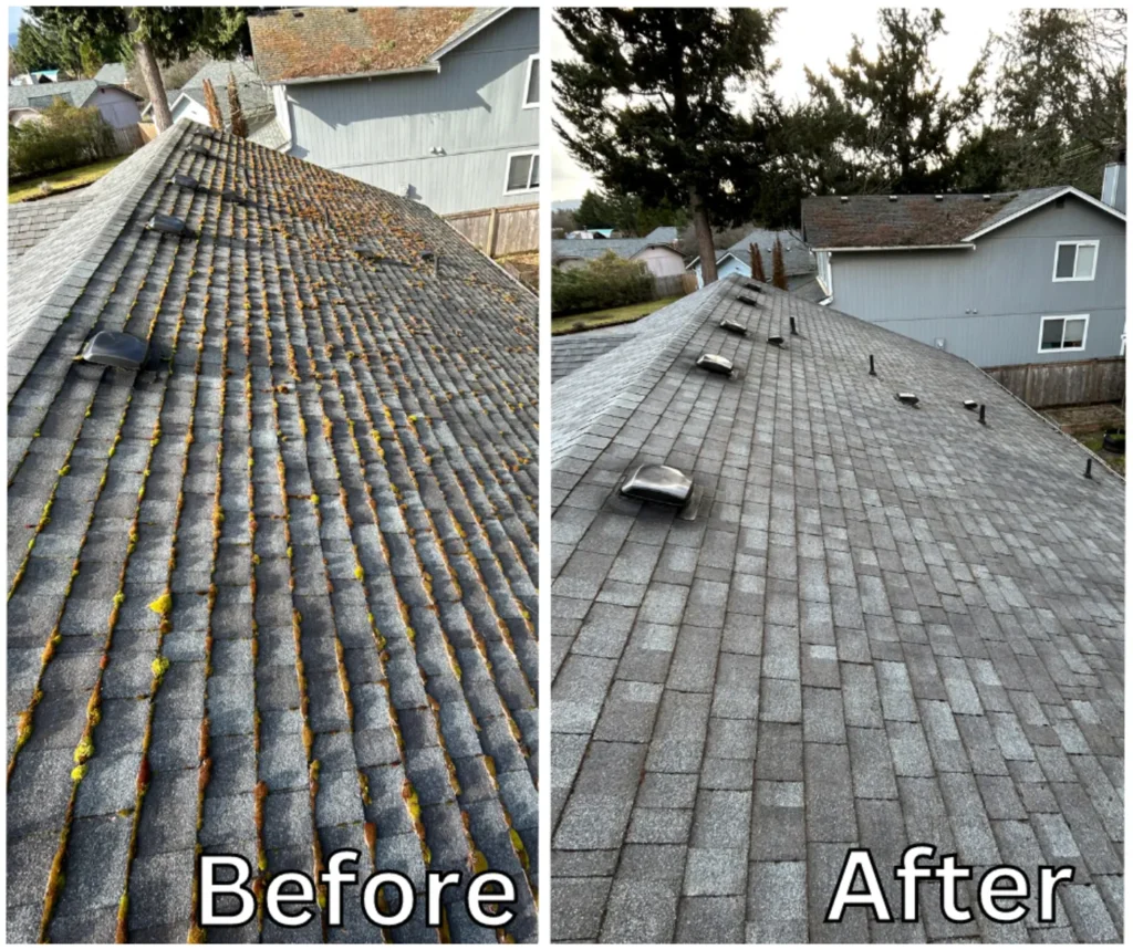 roof before and after washing
