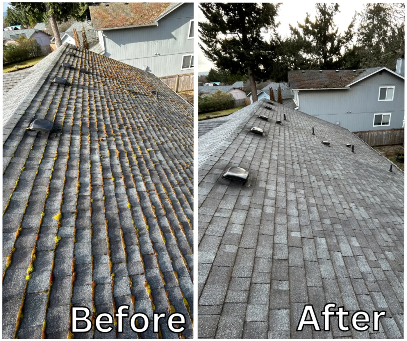 roof before and after washing