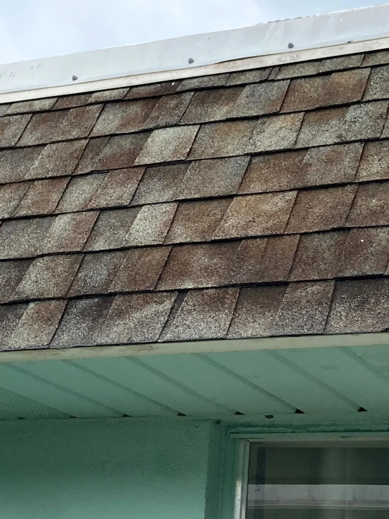 roof shingles before treatment